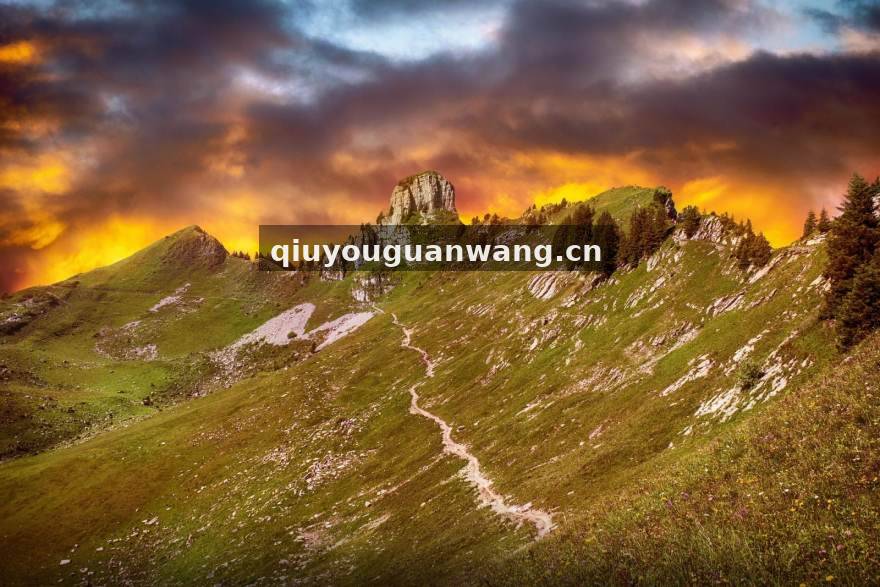 球友体育关于我们团队工作场景配图