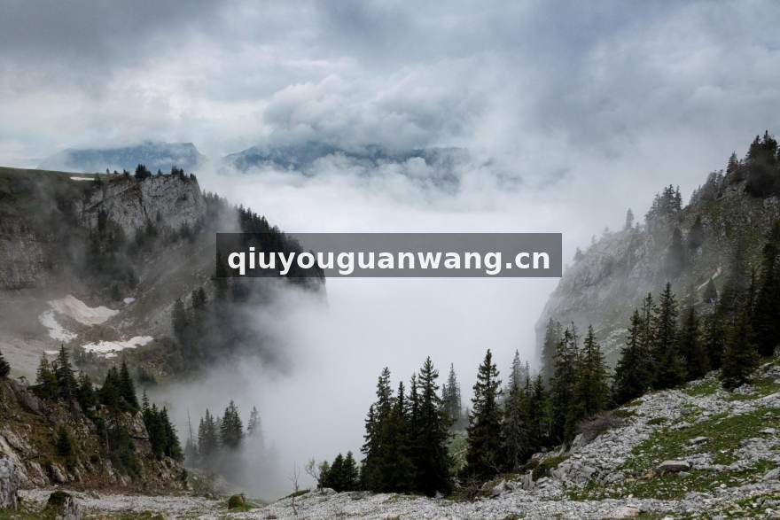 球友体育积分排名与球队数据服务配图