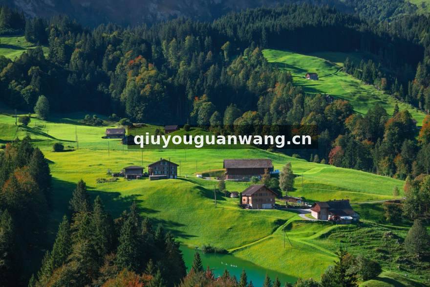 球友体育英超积分榜走势观察配图