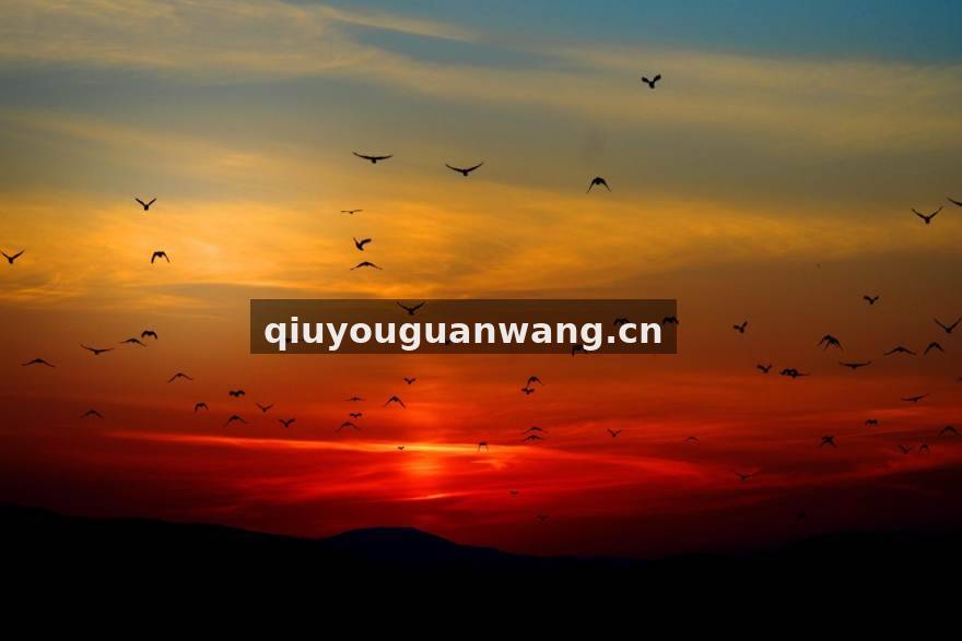 球友体育球迷社区互动服务配图
